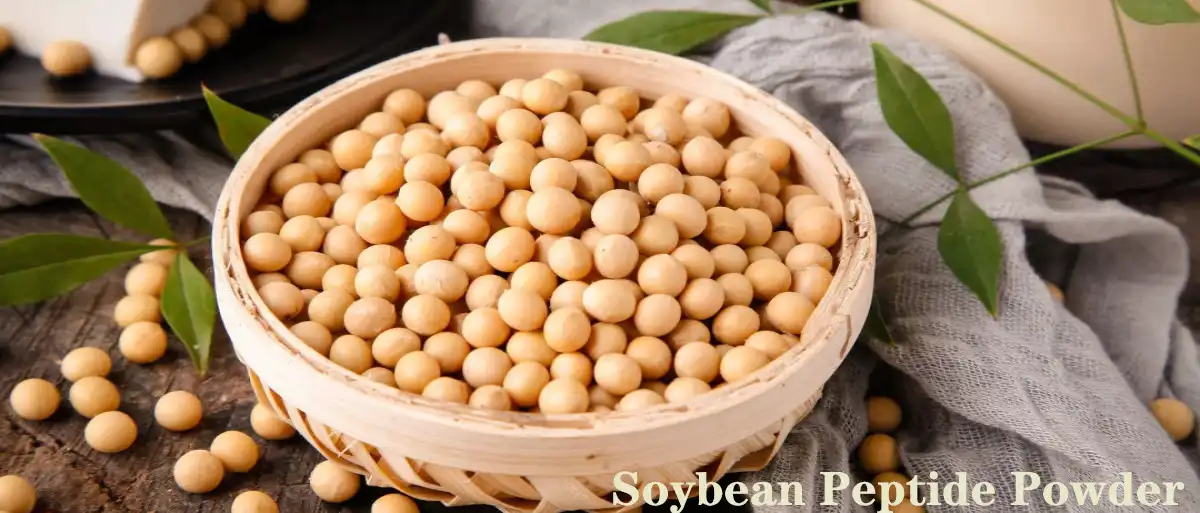 Soybean Peptide Powder.jpg